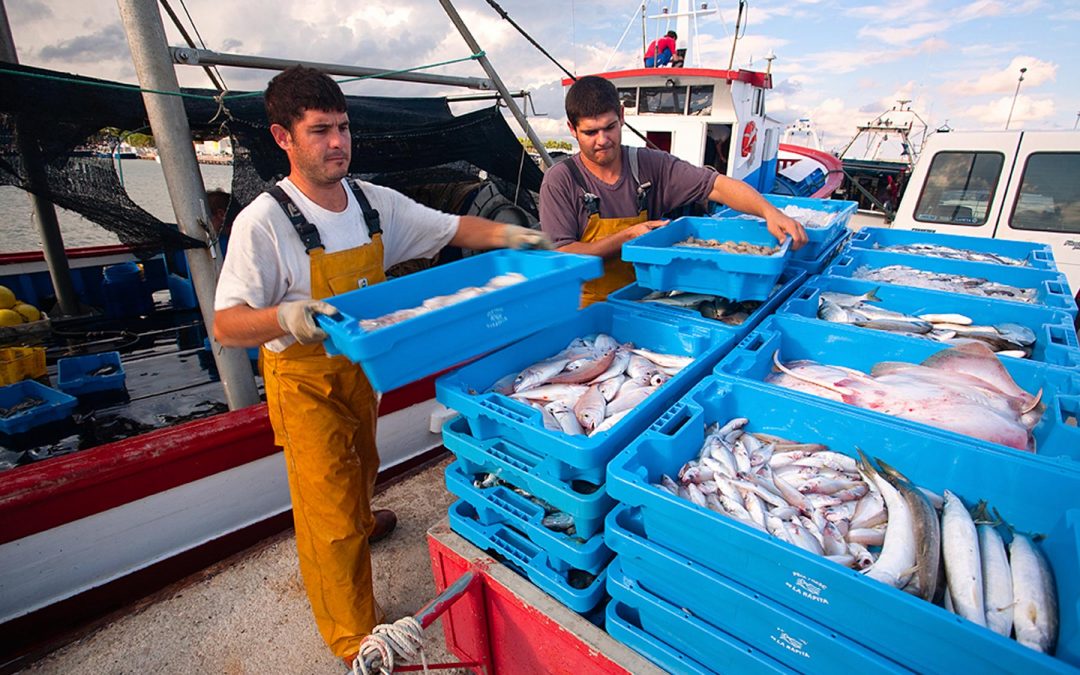 El Departament d’Agricultura destinarà 2,8 M€ en ajuts al sector pesquer en el marc del Fons Europeu Marítim i de la Pesca (FEMP)